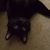 Deborah Sohn's profile image