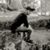 Brandon Ohlinger's profile image