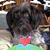 Gwyn Oakley's profile image