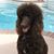 Bonnie Boyd's profile image