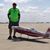 Dave Sullivan's profile image