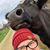 Linda Kelley's profile image