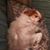 Kasey Esa's profile image