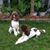 Bonnie Guabello-Marchitto's profile image