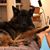 Kris Dimler Hausman's profile image