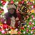 Diana Atrevida's profile image