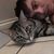 Victor Palencia's profile image