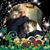 Sharon Redmond Burke's profile image