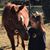 Lynica May Crescionie's profile image