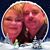 Brian Pamela Herald's profile image