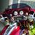 David Sharp's profile image