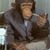 Ray Rene Jacobs's profile image