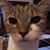 Beth Rae Albers's profile image