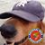 Pat Sullivan's profile image