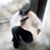 Eze PereSoso's profile image