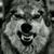 Fred W Moore's profile image