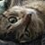 Mary Croghan's profile image
