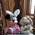 Carol Cooper Morrell's profile image
