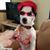 Dawn Miller's profile image