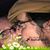 Grace Hauver's profile image