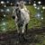 Paula Brightman's profile image