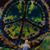 Paty Holcomb's profile image