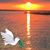 Lori Benner Haas's profile image