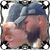 Robert Bernhardt's profile image