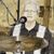 Tim Callaway's profile image