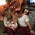 Maggie McLeod Johnson's profile image