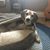 Karen Breault's profile image