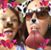 Crystal Caponigro's profile image