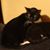Tom Sweinhart's profile image