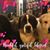 Bev Goffus Smith's profile image