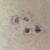 Oyate OwnsPipe's profile image