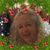 Mary Grunmeier's profile image
