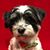 Renee Brendel's profile image