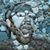 Donald Allen's profile image