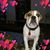Karen Earls's profile image