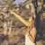 Malyssa Harelson's profile image