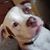 Anne Mckinney's profile image