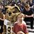 McCall Roberts Andrews's profile image
