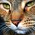 Laurel Arbr's profile image