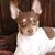 Kelly McBey's profile image