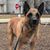 Mollyann Hesser's profile image