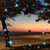Sammi Bailey Whitledge's profile image