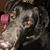 Diana Proffitt's profile image