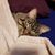 Kathi Murray's profile image