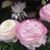 Mary D. Boucher's profile image