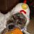 Marc Garcia's profile image
